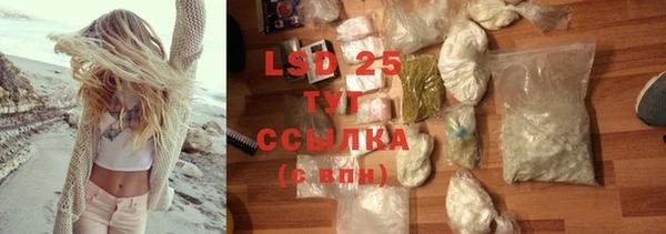 гидра Володарск