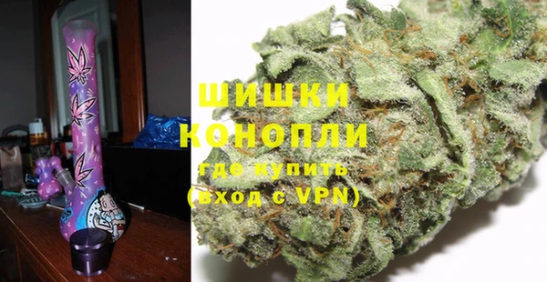 ПСИЛОЦИБИНОВЫЕ ГРИБЫ Богданович