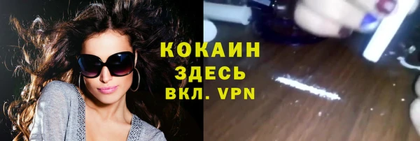 шишки Волоколамск