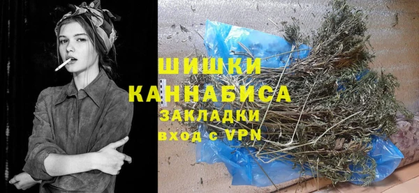 гидра Володарск