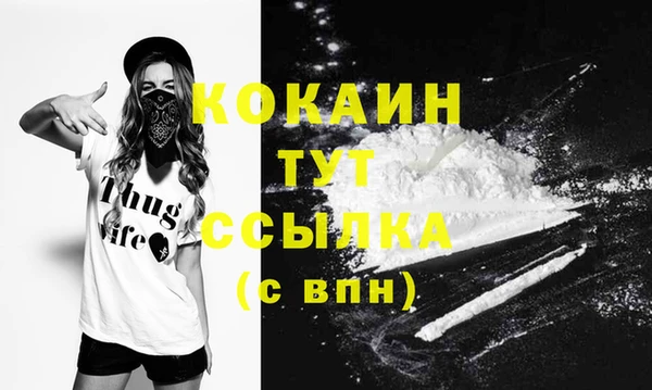 шишки Волоколамск