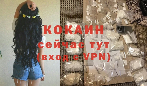 шишки Волоколамск