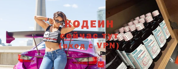 гидра Володарск